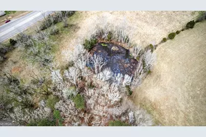 60.97+/- Acres US Hwy 19 S, Meansville, GA 30256 - Photo 6