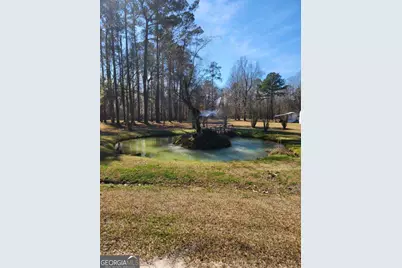 885 Henderson Road, Dublin, GA 31021 - Photo 30