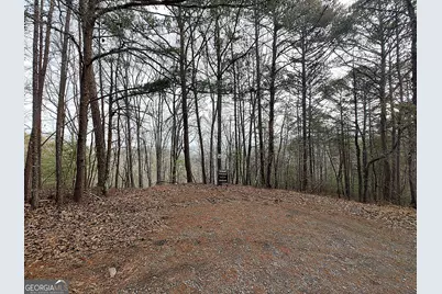 1036 Astro Court NE, Ranger, GA 30734 - Photo 6