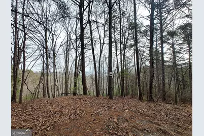 1036 Astro Court NE, Ranger, GA 30734 - Photo 4