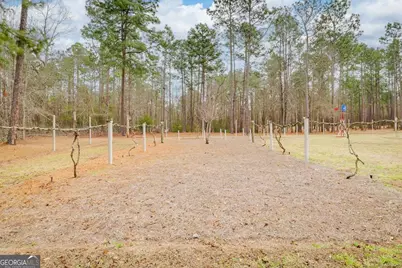 251 192 Highway N, Twin City, GA 30471 - Photo 68