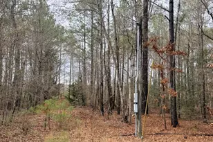 470/510 Ivey Farms Rd, Mcintyre, GA 31054 - Photo 1