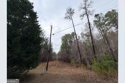 470/510 Ivey Farms Rd, Mcintyre, GA 31054 - Photo 2