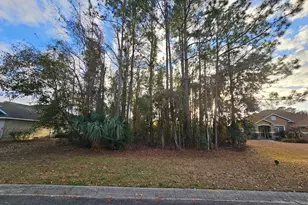 119 Maybird Dr, Kingsland, GA 31548 - Photo 56