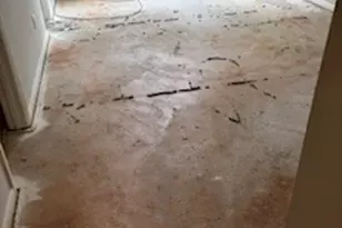 306 Iron Horse Way, Stockbridge, GA 30281 - Photo 20