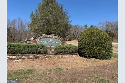 0 Tanager Trail, Alto, GA 30510 - Photo 12