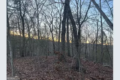 0 Tanager Trail, Alto, GA 30510 - Photo 6