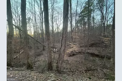 369 Thompson Lane, Jasper, GA 30143 - Photo 4