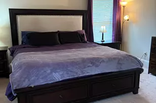 208 Deodar Ln, Hampton, GA 30228 - Photo 18