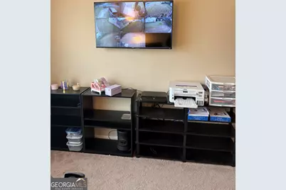 208 Deodar Lane, Hampton, GA 30228 - Photo 24