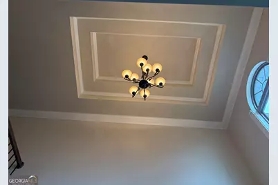 208 Deodar Lane, Hampton, GA 30228 - Photo 28