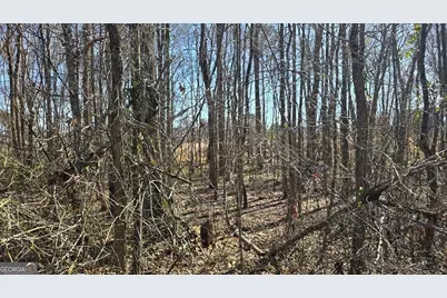 1110 Spring Creek Circle, Griffin, GA 30223 - Photo 6