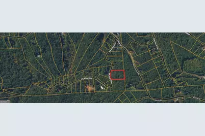 0 Splinter Trail #90, Dawsonville, GA 30534 - Photo 6