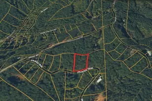 0 Splinter Trail, Dawsonville, GA 30534 - Photo 1