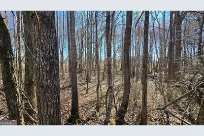 1112 Spring Creek Circle, Griffin, GA 30223 - Photo 2