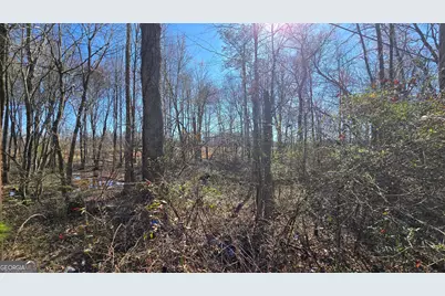 1114 Spring Creek Circle, Griffin, GA 30223 - Photo 4