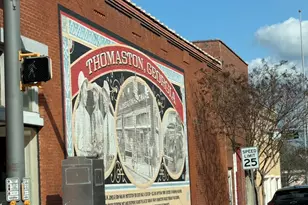 40 Edgewood Ave, Thomaston, GA 30286 - Photo 30