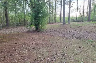 85 Emerald Dr, Newnan, GA 30265 - Photo 14