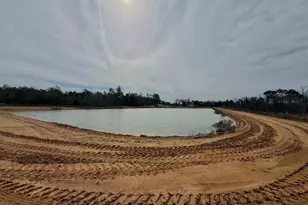 500 Gray's Landing Rd, Uvalda, GA 30473 - Photo 32