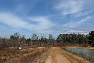 500 Gray's Landing Rd, Uvalda, GA 30473 - Photo 34