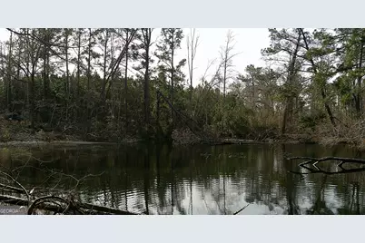 35 Barwick Kea Road, Adrian, GA 31002 - Photo 48