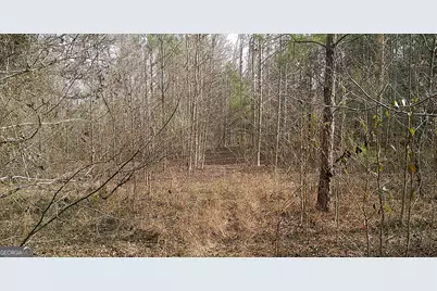 35 Barwick Kea Road, Adrian, GA 31002 - Photo 24