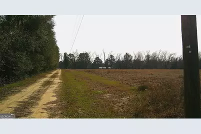 35 Barwick Kea Road, Adrian, GA 31002 - Photo 8