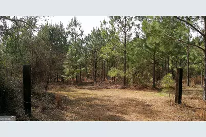 35 Barwick Kea Road, Adrian, GA 31002 - Photo 58