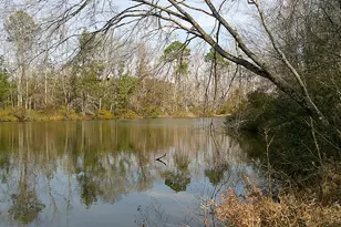 35 Barwick Kea Rd, Adrian, GA 31002 - Photo 1