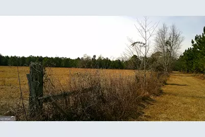 35 Barwick Kea Road, Adrian, GA 31002 - Photo 2