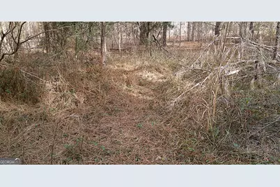 35 Barwick Kea Road, Adrian, GA 31002 - Photo 22