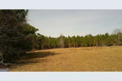 35 Barwick Kea Road, Adrian, GA 31002 - Photo 42