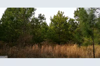 35 Barwick Kea Road, Adrian, GA 31002 - Photo 20