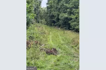 0 Tatum Gulf Road, Menlo, GA 30731 - Photo 2