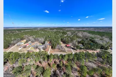 0 Hines Road #TRACT A, Lagrange, GA 30240 - Photo 10