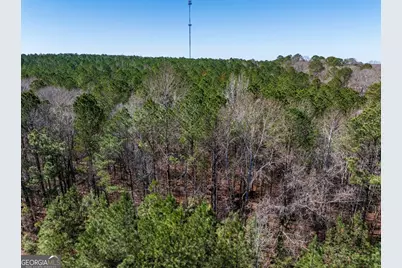 0 Hines Road #TRACT A, Lagrange, GA 30240 - Photo 6