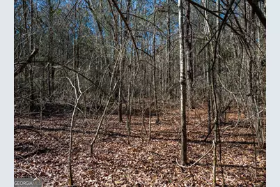 0 Hines Road #TRACT A, Lagrange, GA 30240 - Photo 4