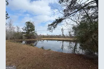 448 Archie Miller Road, Denton, GA 31532 - Photo 34