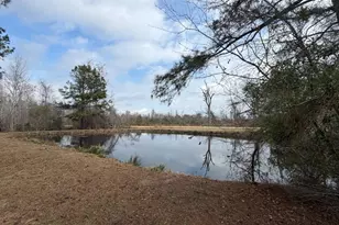 448 Archie Miller Rd, Denton, GA 31532 - Photo 34