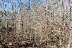 161 Hancock Rd, Williamson, GA 30292 - Photo 38