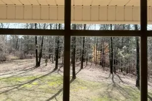 161 Hancock Rd, Williamson, GA 30292 - Photo 24