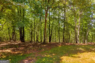 807 Satterfield Rd, Cleveland, GA 30528 - Photo 74
