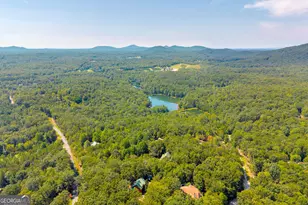 807 Satterfield Rd, Cleveland, GA 30528 - Photo 84