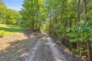 807 Satterfield Rd, Cleveland, GA 30528 - Photo 84