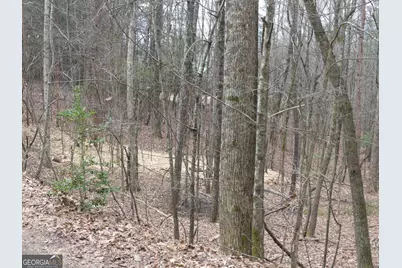 807 Satterfield Road, Cleveland, GA 30528 - Photo 96