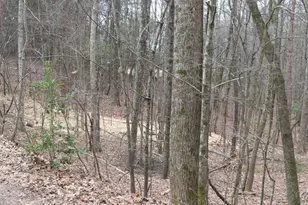 807 Satterfield Rd, Cleveland, GA 30528 - Photo 96