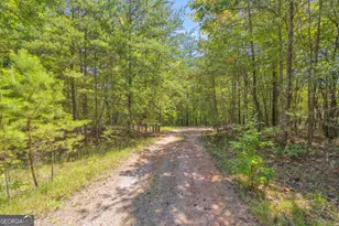 807 Satterfield Rd, Cleveland, GA 30528 - Photo 86