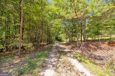 807 Satterfield Road, Cleveland, GA 30528 - Photo 88