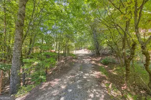 807 Satterfield Rd, Cleveland, GA 30528 - Photo 86