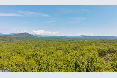 807 Satterfield Road, Cleveland, GA 30528 - Photo 74